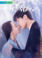 Ex-Wife Stop China Web Drama